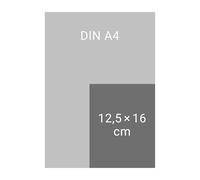 Die drei !!! Tagesabreißkalender 2026: Tipps von Kim, Franzi und Marie und Fakten über die drei Ausrufezeichen in einem coolen Kalender 2026 für jeden Tag. Format 12,5 x 16 cm, mit Aufsteller