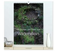 Die Eichen und Feen von Wildenstein (hochwertiger Premium Wandkalender 2026 DIN A2 hoch), Kunstdruck in Hochglanz: Ein Eichenwitwald im Lauf der Jahreszeiten und seine seltsamen Feen