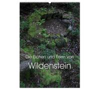 Die Eichen und Feen von Wildenstein (Wandkalender 2026 DIN A2 hoch), CALVENDO Monatskalender: Ein Eichenwitwald im Lauf der Jahreszeiten und seine seltsamen Feen