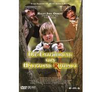 Die Entführung von Häuptling Rothaut [Alemania] [DVD]