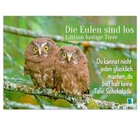 Die Eulen sind los: Edition lustige Tiere (Tischkalender 2026 DIN A5 quer), CALVENDO Monatskalender: Spaß mit Eule, Uhu und Kauz und mit flotten Sprüchen und viel Humor
