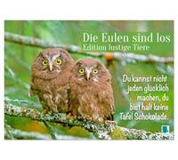 Die Eulen sind los: Edition lustige Tiere (Wandkalender 2026 DIN A3 quer), CALVENDO Monatskalender: Spaß mit Eule, Uhu und Kauz und mit flotten Sprüchen und viel Humor