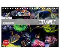 Die Farben der Ozeanwelt (Tischkalender 2026 DIN A5 quer), CALVENDO Monatskalender: Die prächtige Unterwasserwelt unserer Meere