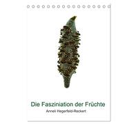 Die Faszination der Früchte (Tischkalender 2026 DIN A5 hoch), CALVENDO Monatskalender: Die Schönheit der Früchte in eindrucksvollen Nahaufnahmen der Fotografin Anneli Hegerfeld-Reckert
