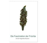 Die Faszination der Früchte (Wandkalender 2026 DIN A2 hoch), CALVENDO Monatskalender: Die Schönheit der Früchte in eindrucksvollen Nahaufnahmen der Fotografin Anneli Hegerfeld-Reckert