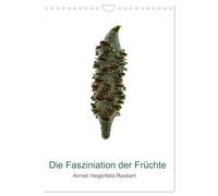 Die Faszination der Früchte (Wandkalender 2026 DIN A4 hoch), CALVENDO Monatskalender: Die Schönheit der Früchte in eindrucksvollen Nahaufnahmen der Fotografin Anneli Hegerfeld-Reckert