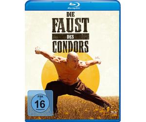 Die Faust des Condors (Blu-ray) Marko Zaror Eyal Meyer Ernesto Diaz Espinoza