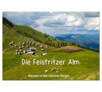 Die Feistritzer Alm - Wandern in den Kärntner Bergen (Wandkalender 2026 DIN A2 quer), CALVENDO Monatskalender: Feistritzer Alm in den Bergen Österreichs.