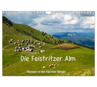 Die Feistritzer Alm - Wandern in den Kärntner Bergen (Wandkalender 2026 DIN A4 quer), CALVENDO Monatskalender: Feistritzer Alm in den Bergen Österreichs.