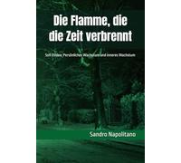Die Flamme, die die Zeit verbrennt: Sofi Etidea: Persönliches Wachstum und inneres Wachstum: 7 (Etidea: Konzeptionelle Werkzeuge zur Erstellung von ... bekannte Bezugspunkte nicht mehr ausreiche)