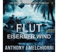 Die Flut: Eiserner Wind (audiolibro)