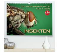 Die geheimnisvolle Welt der Insekten (hochwertiger Premium Wandkalender 2026 DIN A2 quer), Kunstdruck in Hochglanz: Faszinierende Nahaufnahmen von verschiedenen Insekten