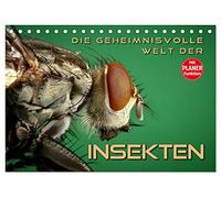 Die geheimnisvolle Welt der Insekten (Tischkalender 2026 DIN A5 quer), CALVENDO Monatskalender: Faszinierende Nahaufnahmen von verschiedenen Insekten