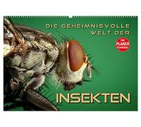 Die geheimnisvolle Welt der Insekten (Wandkalender 2026 DIN A2 quer), CALVENDO Monatskalender: Faszinierende Nahaufnahmen von verschiedenen Insekten