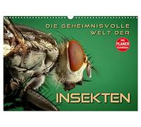 Die geheimnisvolle Welt der Insekten (Wandkalender 2026 DIN A3 quer), CALVENDO Monatskalender: Faszinierende Nahaufnahmen von verschiedenen Insekten