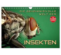 Die geheimnisvolle Welt der Insekten (Wandkalender 2026 DIN A4 quer), CALVENDO Monatskalender: Faszinierende Nahaufnahmen von verschiedenen Insekten