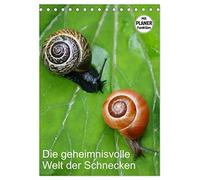 Die geheimnisvolle Welt der Schnecken (Tischkalender 2026 DIN A5 hoch), CALVENDO Monatskalender: Weichtiere