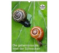 Die geheimnisvolle Welt der Schnecken (Wandkalender 2026 DIN A3 hoch), CALVENDO Monatskalender: Weichtiere