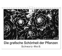 Die grafische Schönheit der Pflanzen - Schwarz-Weiß (Wandkalender 2023 DIN A4 quer): 13 eindrucksvolle Naturaufnahmen in Schwarzweiß (Monatskalender, 14 Seiten) (CALVENDO Orte)