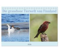 Die grandiose Tierwelt von Finnland (Tischkalender 2026 DIN A5 quer), CALVENDO Monatskalender: Finnische Fauna