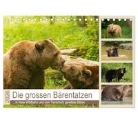 Die grossen Bärentatzen (Tischkalender 2026 DIN A5 quer), CALVENDO Monatskalender: Spezielle Bilder von Bären in freier Wildbahn und vom Tierschutz geretteten Tieren.