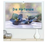 Die Hortensie und ihre vielen Gesichter (hochwertiger Premium Wandkalender 2026 DIN A2 quer), Kunstdruck in Hochglanz: Hortensienblüten in ihrer zarten Schönheit