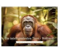 Die intelligentesten Tiere - Weltweit (Wandkalender 2027 DIN A3 quer), CALVENDO Monatskalender: Der Kalender nimmt dich mit auf eine faszinierende ... bis hin zu sozial hochentwickelten Delfinen.