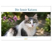 Die Izmir Katzen (Wandkalender 2027 DIN A3 quer), CALVENDO Monatskalender: Authentische Einblicke in das Leben der berühmten türkischen Straßenkatzen.
