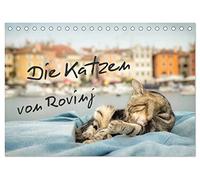 Die Katzen von Rovinj (Tischkalender 2026 DIN A5 quer), CALVENDO Monatskalender: Der ultimative Katzen-Straße von Rovinj in Kroatien!