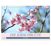Die Kirschblüte in Japan (Tischkalender 2026 DIN A5 quer), CALVENDO Monatskalender: O-Hanami - die Kirschblüte - Symbol der Vergänglichkeit