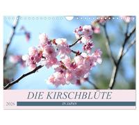 Die Kirschblüte in Japan (Wandkalender 2026 DIN A4 quer), CALVENDO Monatskalender: O-Hanami - die Kirschblüte - Symbol der Vergänglichkeit