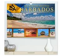 Die kleinen Antillen - Barbados (hochwertiger Premium Wandkalender 2026 DIN A2 quer), Kunstdruck in Hochglanz: Traumhafte Strände, azurblaues Wasser - die Postkartenidylle schlechthin.