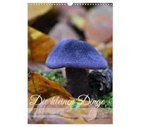 Die kleinen Dinge - märchenhafte Pilzwelten (Wandkalender 2026 DIN A3 hoch), CALVENDO Monatskalender: Augenblicke voller Waldzauber - die geheimnisvolle Schönheit der heimischen Pilzwelt