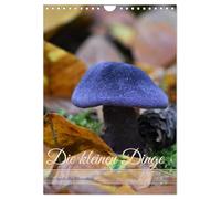 Die kleinen Dinge - märchenhafte Pilzwelten (Wandkalender 2026 DIN A4 hoch), CALVENDO Monatskalender: Augenblicke voller Waldzauber - die geheimnisvolle Schönheit der heimischen Pilzwelt