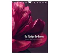 Die Königin der Rosen (Wandkalender 2026 DIN A4 hoch), CALVENDO Monatskalender: Detailaufnahmen verschiedener Pfingstrosen
