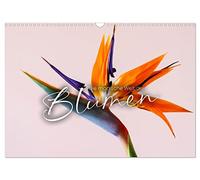 Die magische Welt der Blumen (Wandkalender 2026 DIN A3 quer), CALVENDO Monatskalender: Verführend schön.