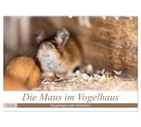 Die Maus im Vogelhaus (Wandkalender 2026 DIN A2 quer), CALVENDO Monatskalender: Süsse Knopfaugen und freches Grinsen! Mäuse sind einfach zum verlieben.