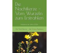 Die Nachtkerze - Vom Wurzeln zum Erstrahlen: Heilpflanze des Jahres 2026 - Die Nachtkerze - Grüne Resilienz