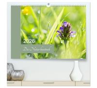 Die Natur hautnah (hochwertiger Premium Wandkalender 2026 DIN A2 quer), Kunstdruck in Hochglanz: Pflanzendetails - die kleinen Dinge ganz groß.