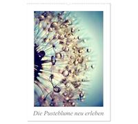 Die Pusteblume neu erleben (Wandkalender 2026 DIN A2 hoch), CALVENDO Monatskalender: Mit 12 spektakuläre Makroaufnahmen der Pusteblume ist dieser Kalender ein echter Blickfang an der Wand.