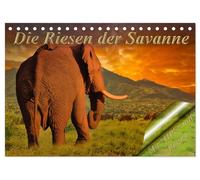 Die Riesen der Savanne (Tischkalender 2026 DIN A5 quer), CALVENDO Monatskalender: Auge in Auge mit den mächtigen der Savanne.