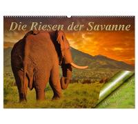 Die Riesen der Savanne (Wandkalender 2026 DIN A2 quer), CALVENDO Monatskalender: Auge in Auge mit den mächtigen der Savanne.