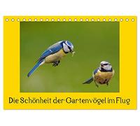 Die Schönheit der Gartenvögel im Flug (Tischkalender 2026 DIN A5 quer), CALVENDO Monatskalender: Spektakuläre Aufnahmen von Gartenvögel im Flug