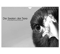 Die Seelen der wilden Tiere (Wandkalender 2026 DIN A4 quer), CALVENDO Monatskalender: Wildtiere ganz nah - in einfühlsamen schwarz-weiß Portraits