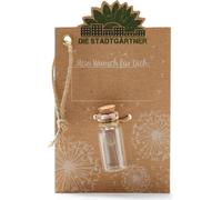 Die Stadtgärtner - Pequeño Relleno de Deseos I Auténtico Paraguas de Diente de león en Cristal I Eterno Duradero I Idea Cualquier ocasión I Regalo de cumpleaños, Boda, Día de