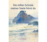 Die stillen Schreie meiner Seele hörst du nicht: Ein Psychokrimi über Glauben, Gewalt und Obsession