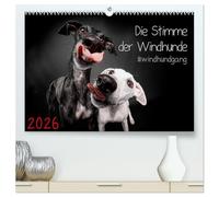 Die Stimme der Windhunde (hochwertiger Premium Wandkalender 2026 DIN A2 quer), Kunstdruck in Hochglanz: Jeden Monat eine lustige Langnase