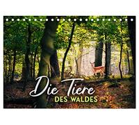 Die Tiere des Waldes (Tischkalender 2026 DIN A5 quer), CALVENDO Monatskalender: Ein Ausflug in die Märchenwälder dieser Welt.