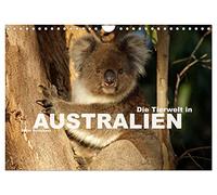 Die Tierwelt in Australien (Wandkalender 2026 DIN A4 quer), CALVENDO Monatskalender: Die faszinierende und exotische Tierwelt Australiens in einem Kalender vom Reisefotografen Peter Schickert
