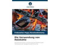 Die Verwendung von Holzkohle: Sozioökonomische und ökologische Auswirkungen. Fallbeispiel der Stadtgemeinde Antsohihy